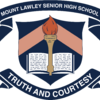 Help Us Find a Team Name for the School