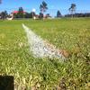 Our New Pitch Unveiled